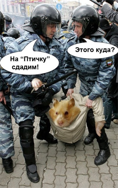 posted image