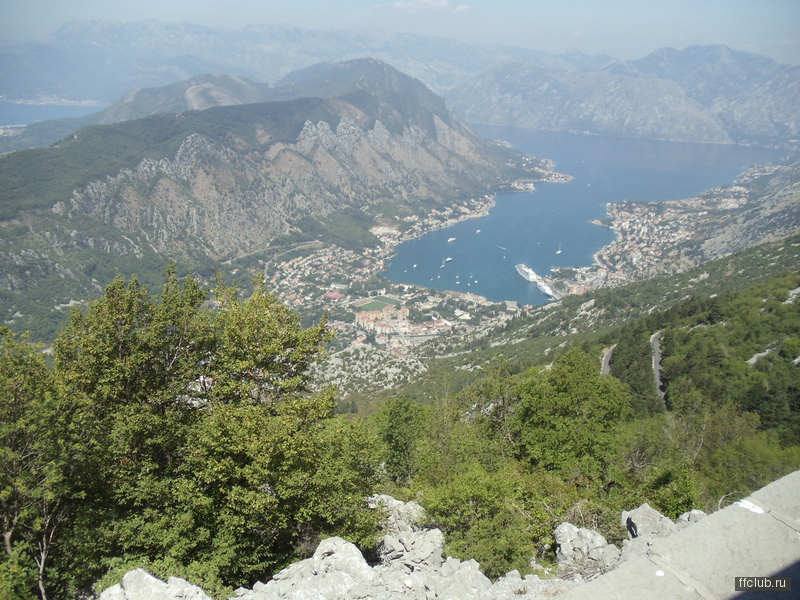 posted image