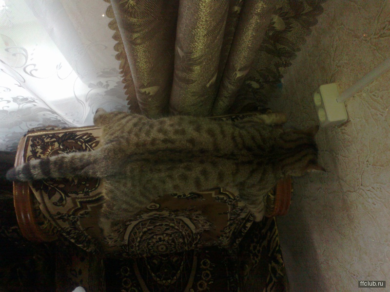 posted image