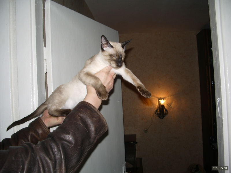 posted image