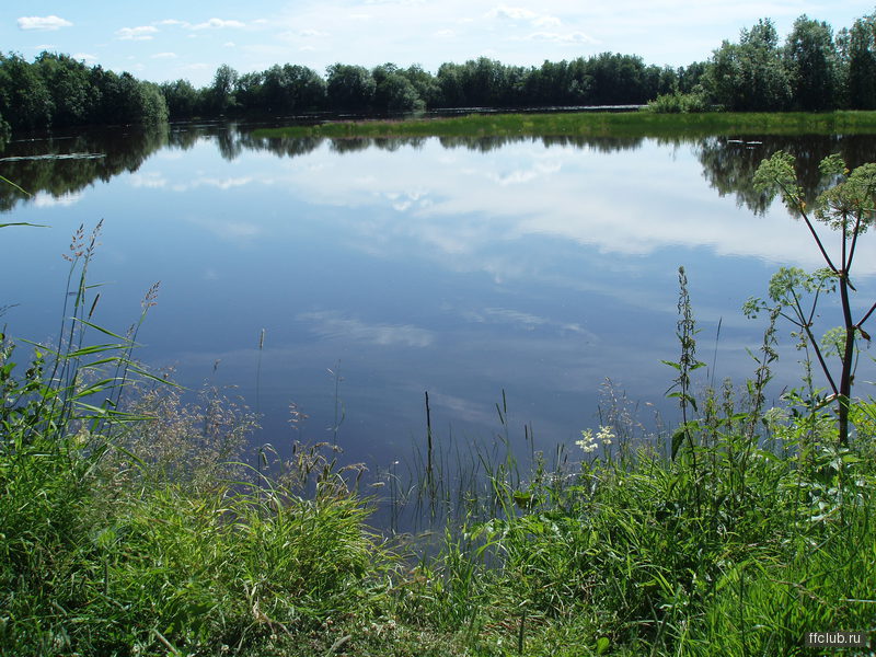 posted image