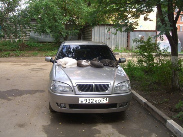 posted image