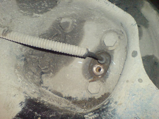 posted image