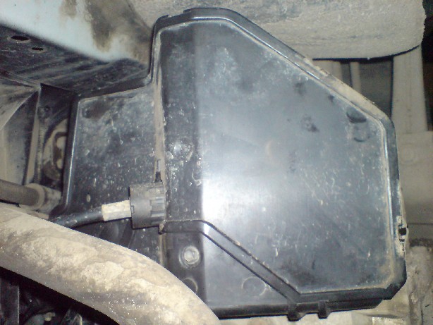 posted image