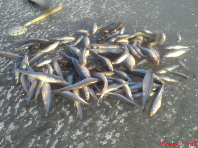 posted image