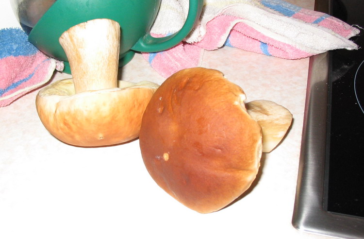posted image
