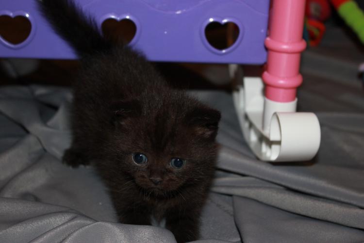 posted image