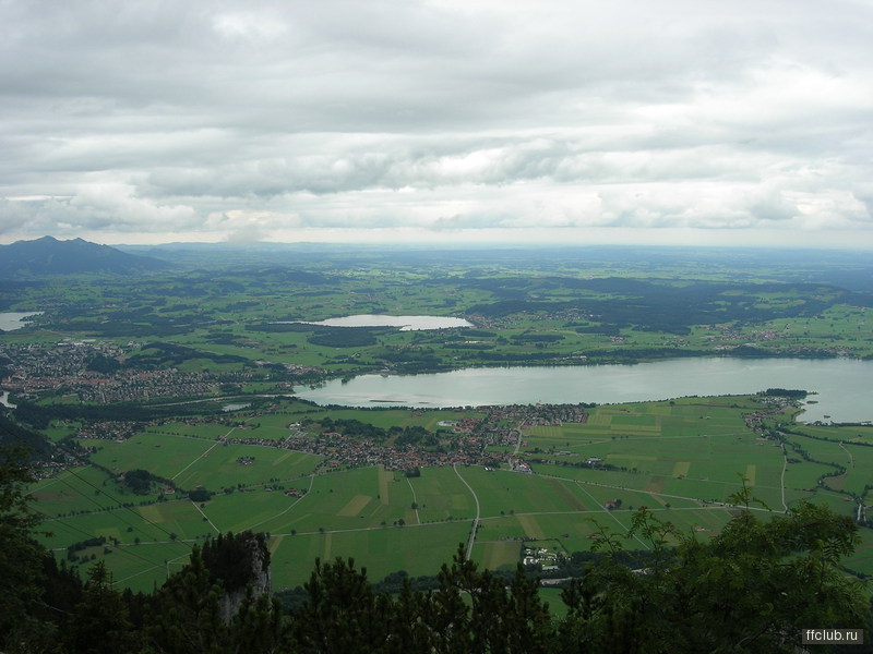 posted image