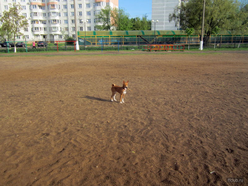 posted image