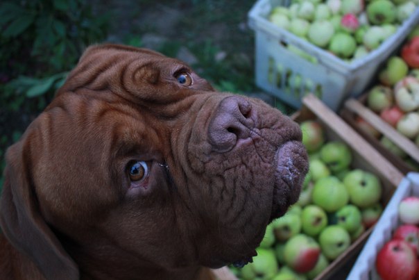 Кто может помочь с рецептом - Мусор