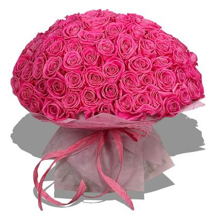 posted image