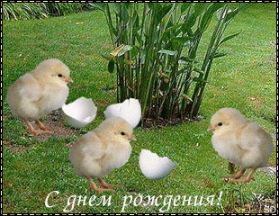 posted image