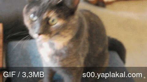 posted image