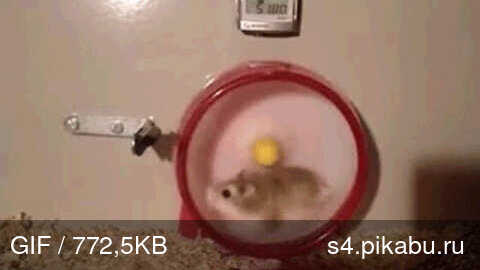 posted image