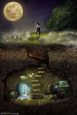 posted image