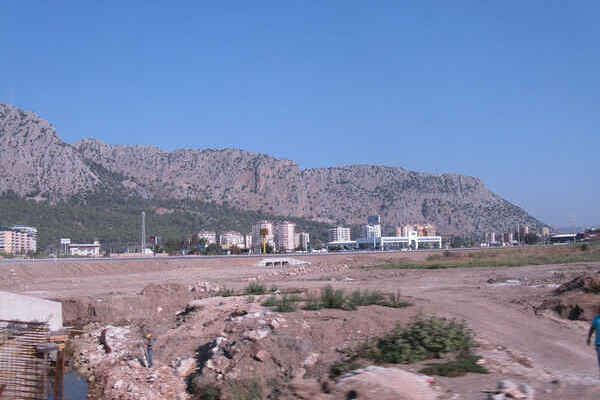 posted image