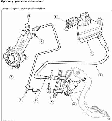 Ford Focus Клуб