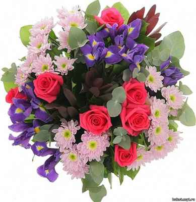 posted image