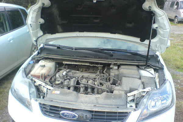 Упор капота Ford Focus 2 ( 2004-2008) 8231.5400.04