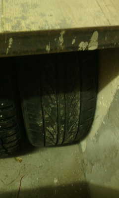 posted image