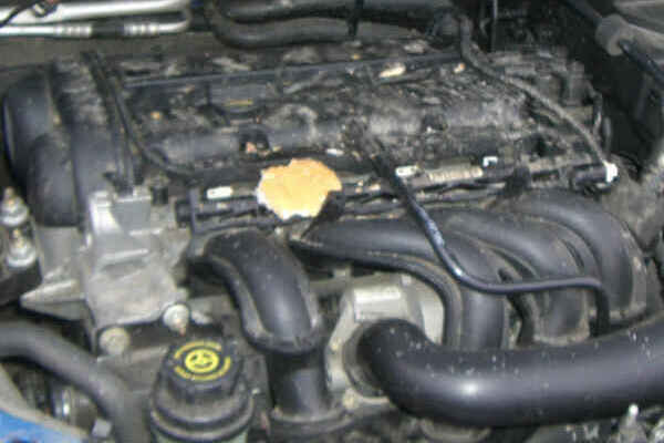 posted image