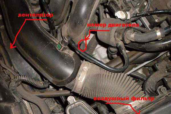 Замена двигателя Форд Фокус 2 ( – литра)