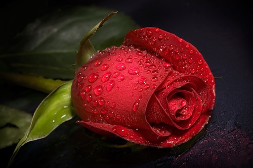 posted image