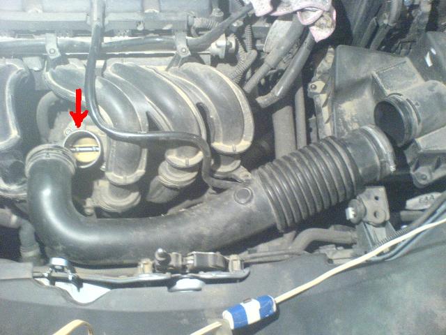 posted image