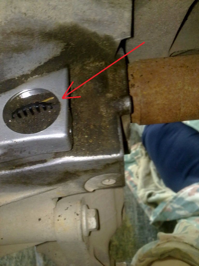 posted image