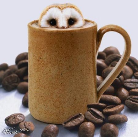 posted image