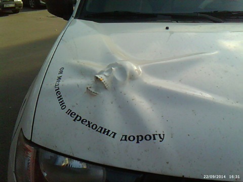 posted image