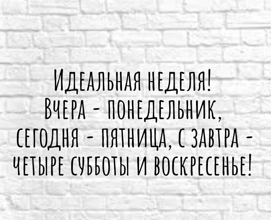 Вчера понедельник завтра пятница. Идеальная неделя.