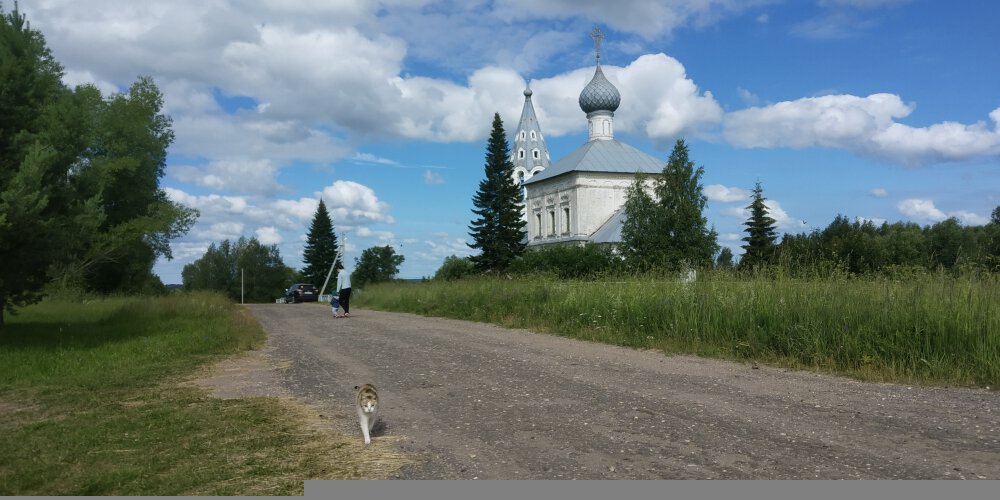 Волга балахнинский район