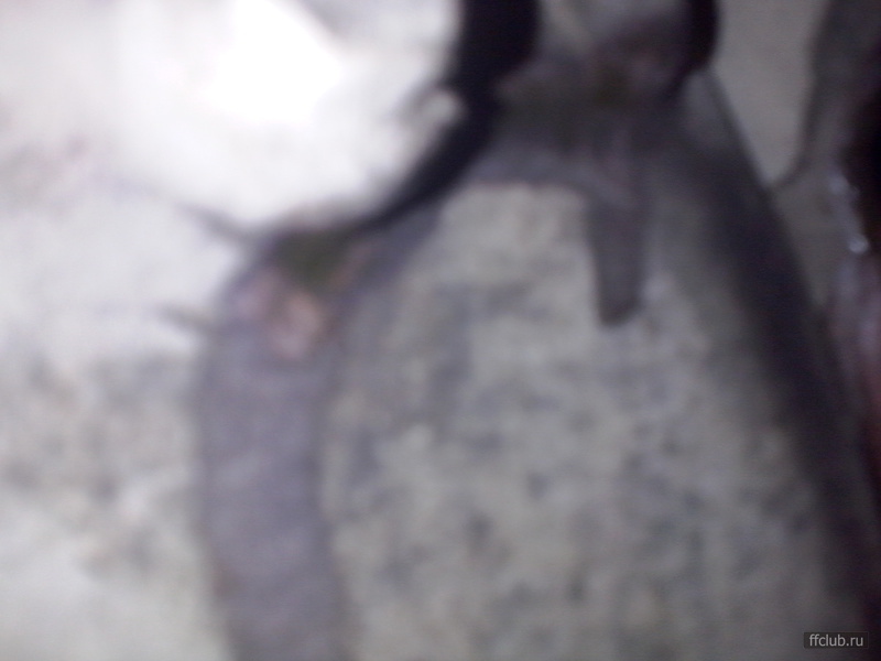 posted image