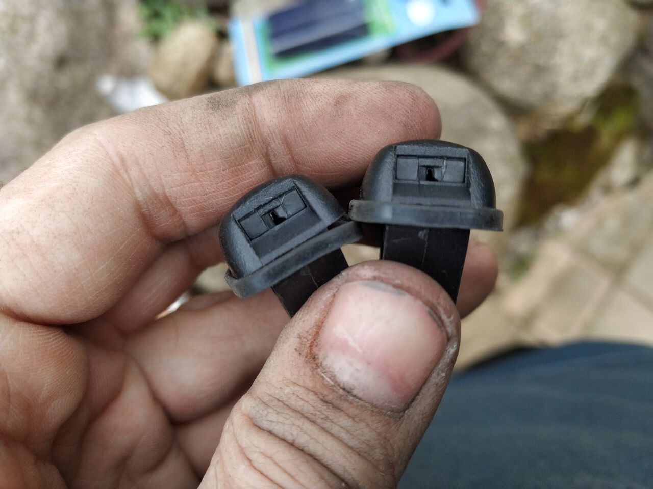 posted image