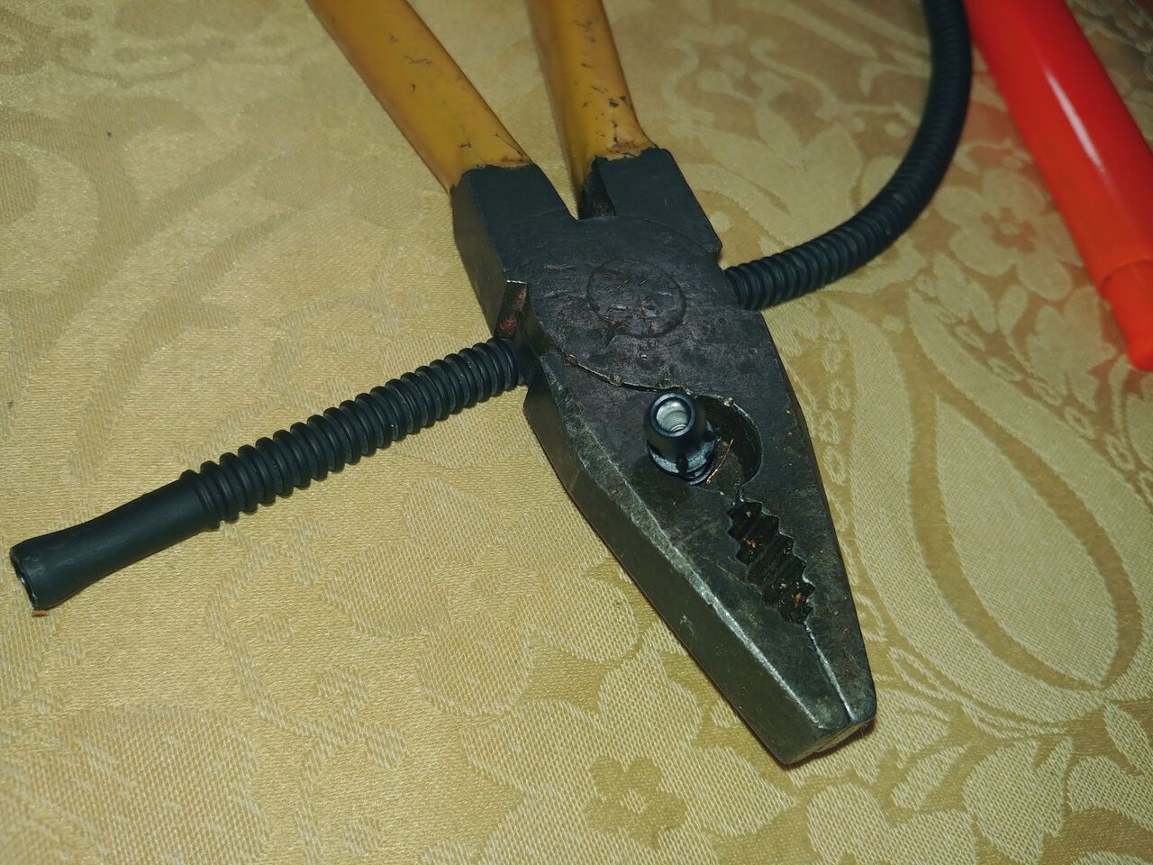 posted image