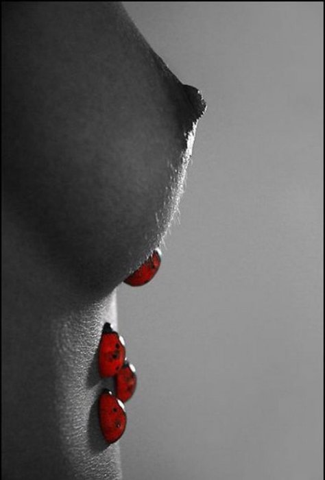posted image