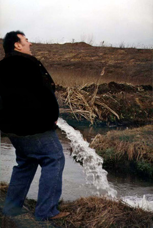 posted image