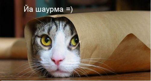 Человек из снов - Мусор