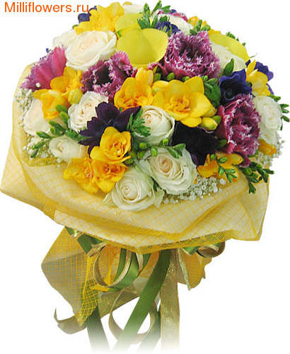 posted image