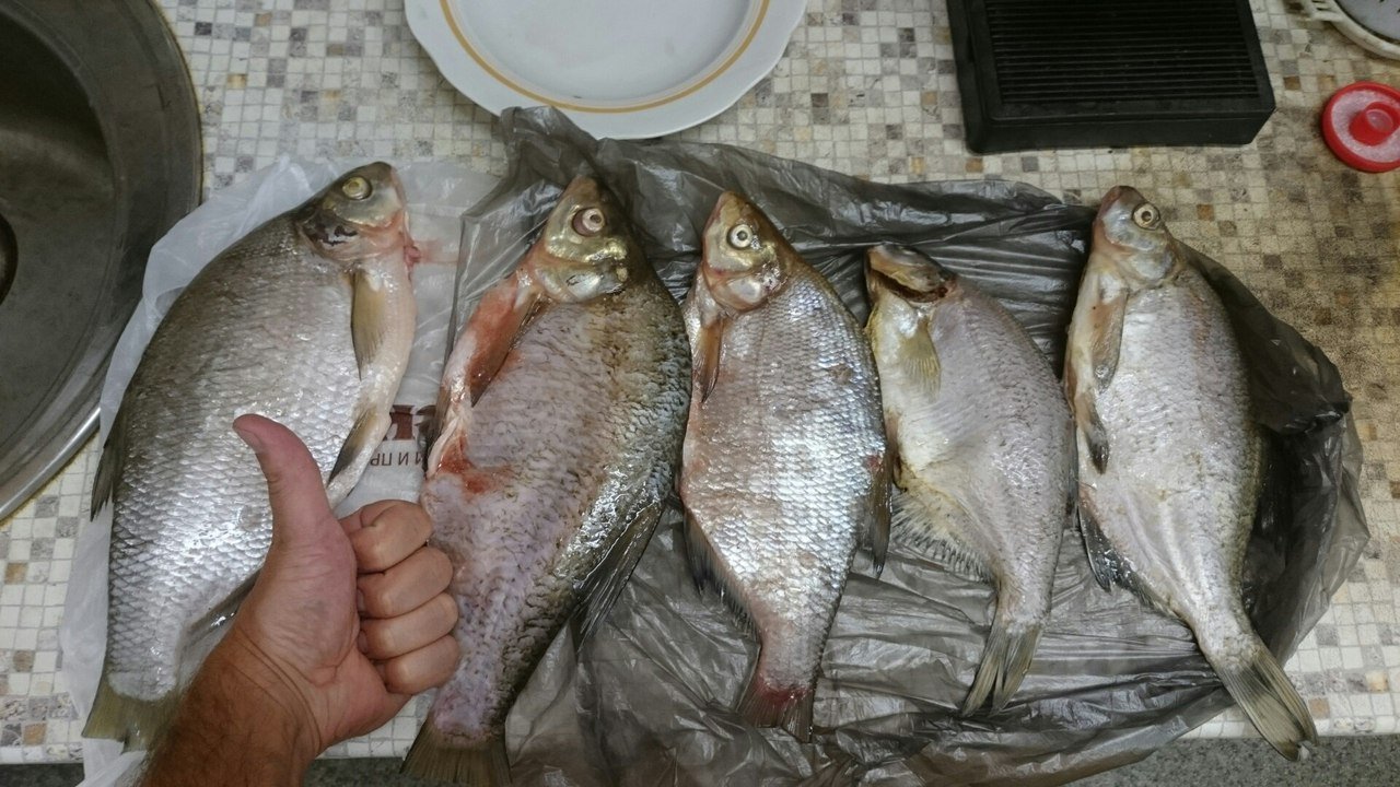 зимняя рыбалка в архангельской области. рыбалка на севере северодвинск. рыбалка на севере. рыбалка на севере архангельск. рыбалка в архангельске.