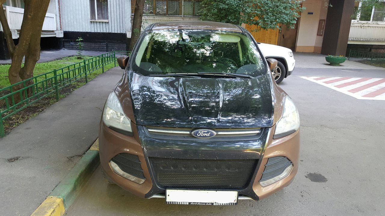 posted image